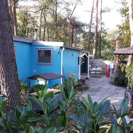Boshuis Turquoise / Smaakvol Genieten Op De Veluwe ホンデルロー エクステリア 写真