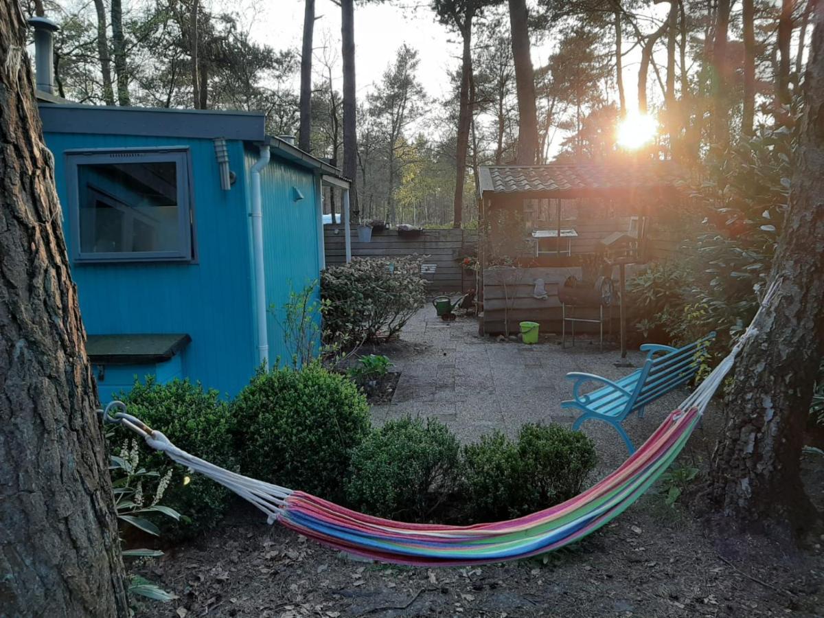 Boshuis Turquoise / Smaakvol Genieten Op De Veluwe ホンデルロー エクステリア 写真