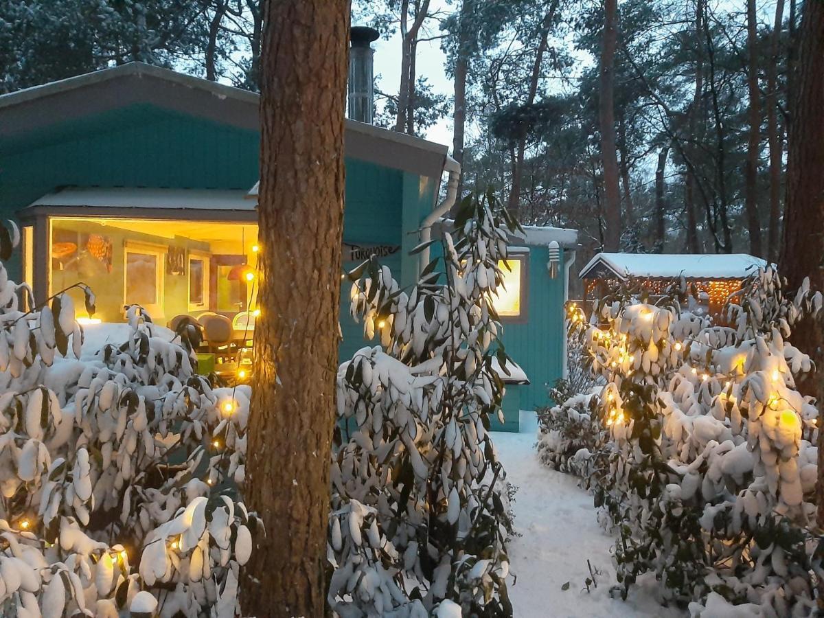 Boshuis Turquoise / Smaakvol Genieten Op De Veluwe ホンデルロー エクステリア 写真