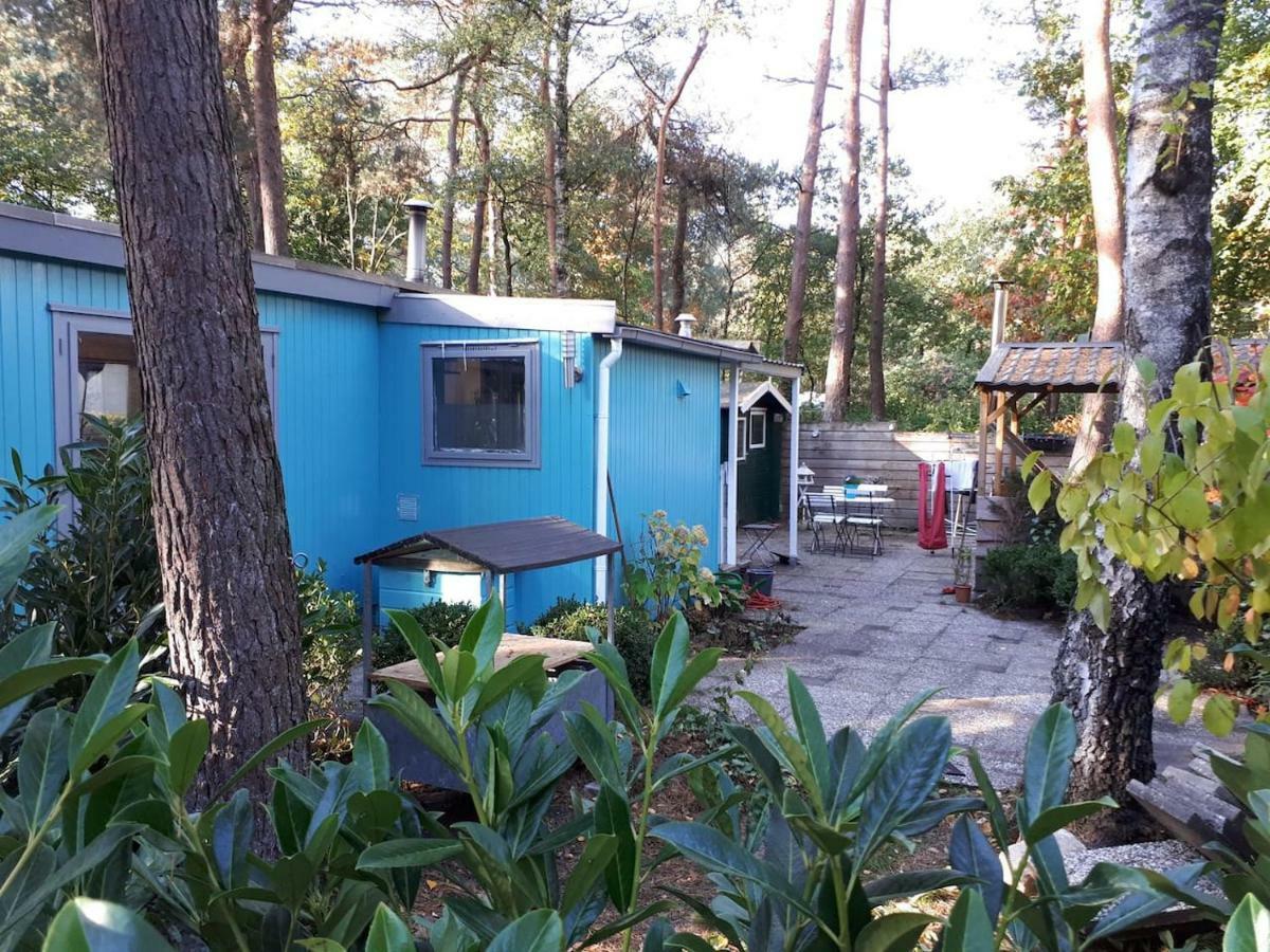 Boshuis Turquoise / Smaakvol Genieten Op De Veluwe ホンデルロー エクステリア 写真