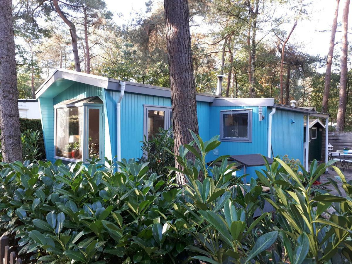 Boshuis Turquoise / Smaakvol Genieten Op De Veluwe ホンデルロー エクステリア 写真