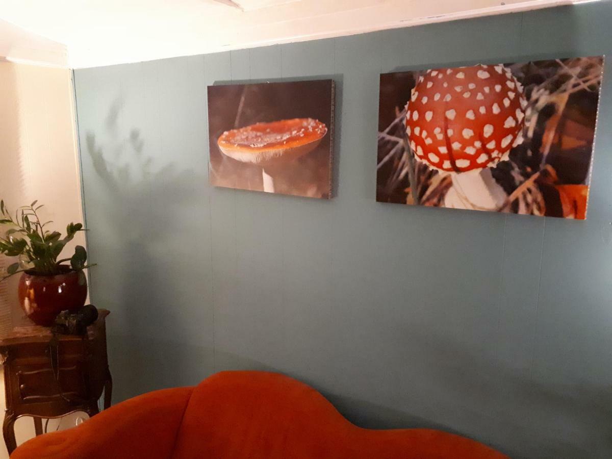 Boshuis Turquoise / Smaakvol Genieten Op De Veluwe ホンデルロー エクステリア 写真