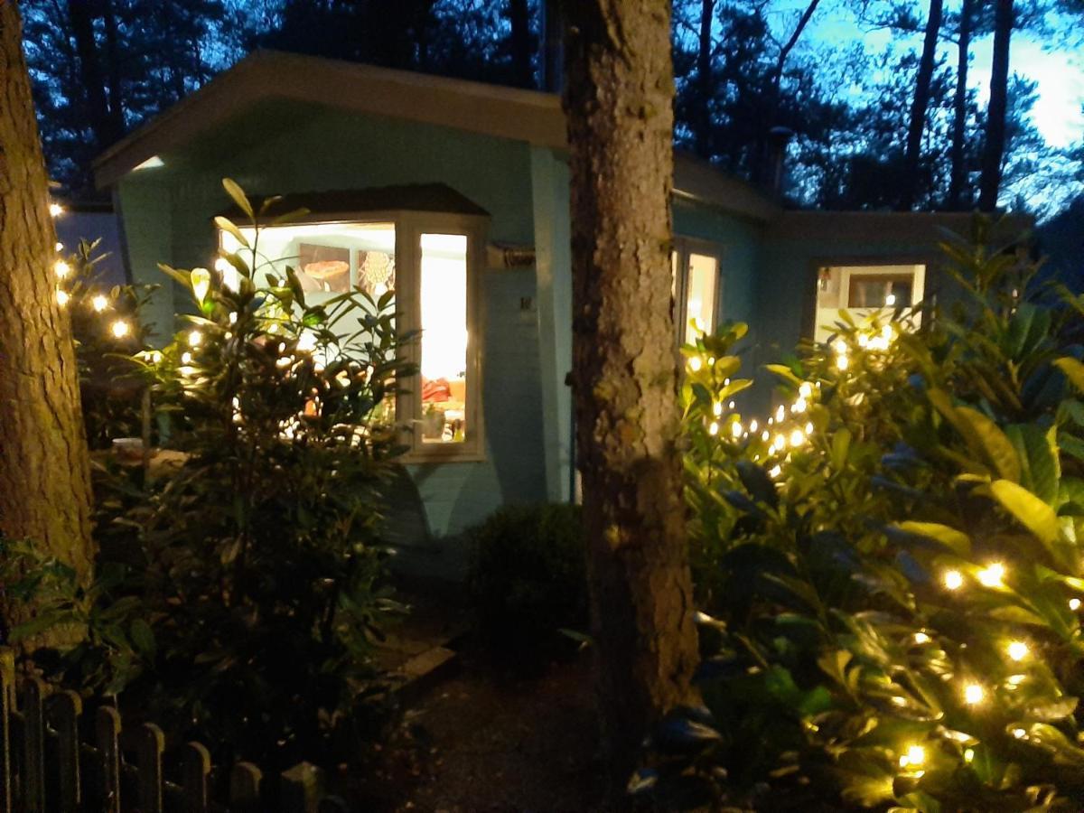 Boshuis Turquoise / Smaakvol Genieten Op De Veluwe ホンデルロー エクステリア 写真